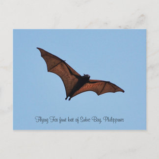 Flying Fox fruitbat of Subic Bay Briefkaart