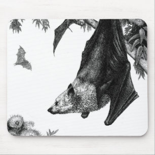 Flying Foxes Mousepad Muismat