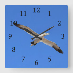 Flying Gannet Bird Blue Sky Vierkante Klok