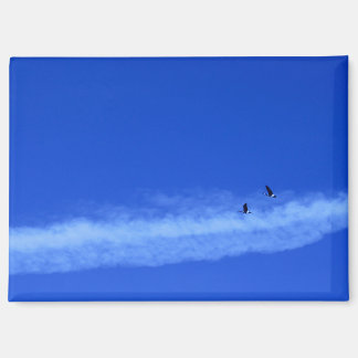 Flying Geese Magnet