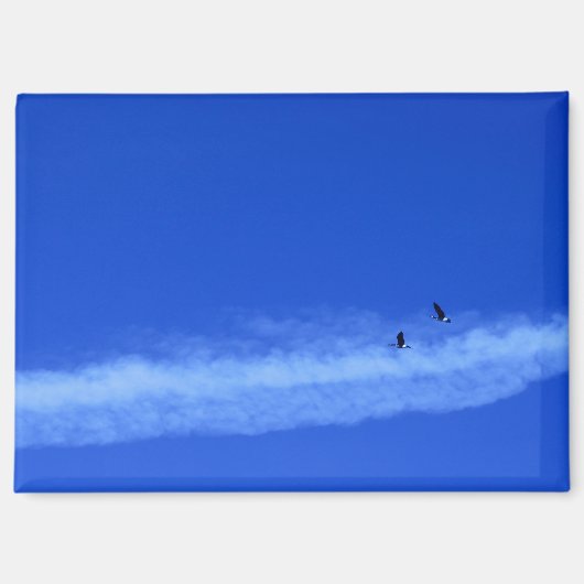 Flying Geese Magnet (Voorkant)