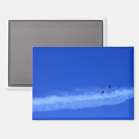 Flying Geese Magnet (Voorkant / Achterkant)
