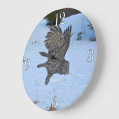 Flying Great Grey Owl Wildlife Foto Portret I Grote Klok (Hoek)