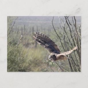 Flying Great Horned Owl Briefkaart