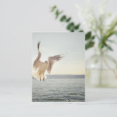 Flying Gull Briefkaart (Staand voorkant)