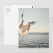 Flying Gull Briefkaart (Voorkant / Achterkant)
