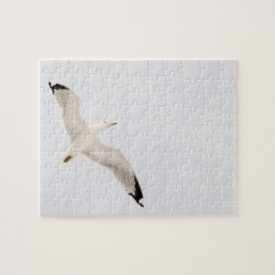Flying Gull Legpuzzel