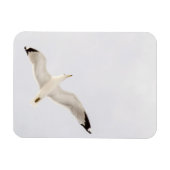 Flying Gull Magneet (Horizontaal)