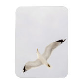 Flying Gull Magneet (Verticaal)