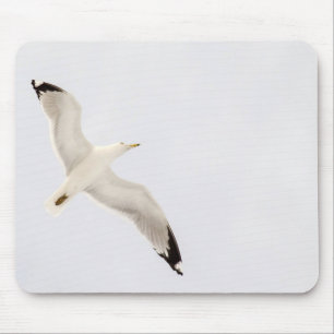 Flying Gull Muismat