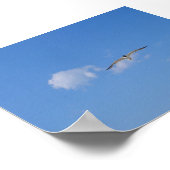 Flying Gull Poster (Hoek)