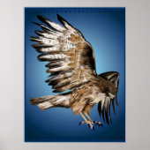 Flying Hawk Print (Voorkant)
