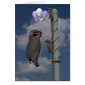 Flying Hippopotamus (Voorkant)