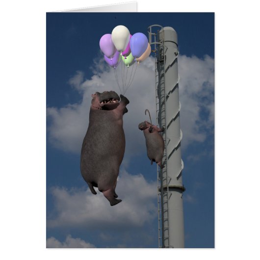 Flying Hippopotamus (Voorkant)