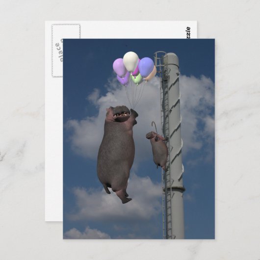 Flying Hippopotamus Briefkaart (Voorkant / Achterkant)