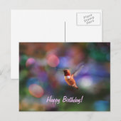 Flying Hummingbird and Colorful Background Briefkaart (Voorkant / Achterkant)