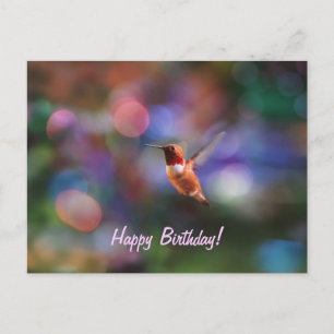Flying Hummingbird and Colorful Background Briefkaart