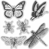 Flying insects transparent stickers (Voorkant)