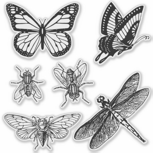 Flying insects transparent stickers (Voorkant)