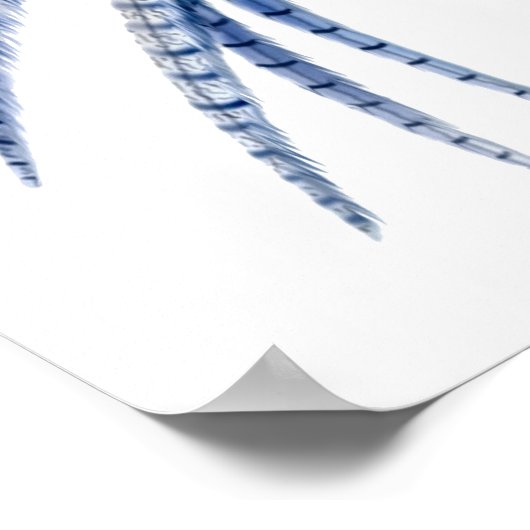 Flying Lady Amherst Pheasant Print (Hoek)