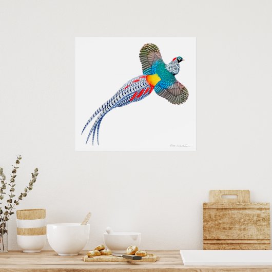 Flying Lady Amherst Pheasant Print (Keuken)