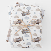 Flying Machines  Inpakpapier Vel (In situ)