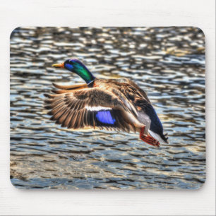Flying Mallard Drake bij Sunset Wildlife Gift Muismat