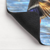 Flying Mallard Duck Birdlover Wildlife Foto Muismat (Hoek)