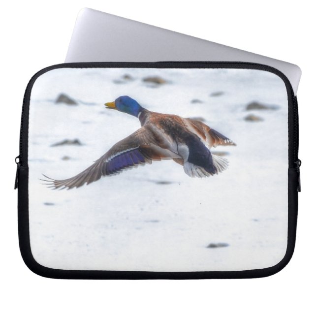 Flying Mallard Duck Drake 15 Wildlife Foto Laptop Sleeve (Voorkant)