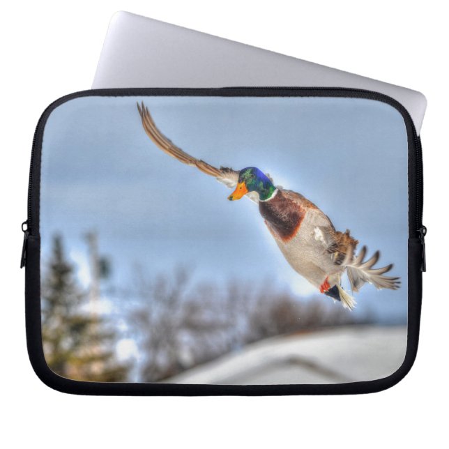 Flying Mallard Duck Drake 2 Wildlife Foto Laptop Sleeve (Voorkant)