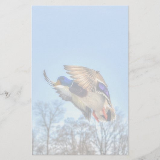 Flying Mallard Duck Drake Wildlife Foto Briefpapier (Voorkant)