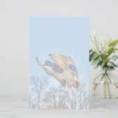 Flying Mallard Duck Drake Wildlife Foto Briefpapier (Staand voorkant)