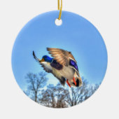Flying Mallard Duck Drake Wildlife Foto Keramisch Ornament (Voorkant)