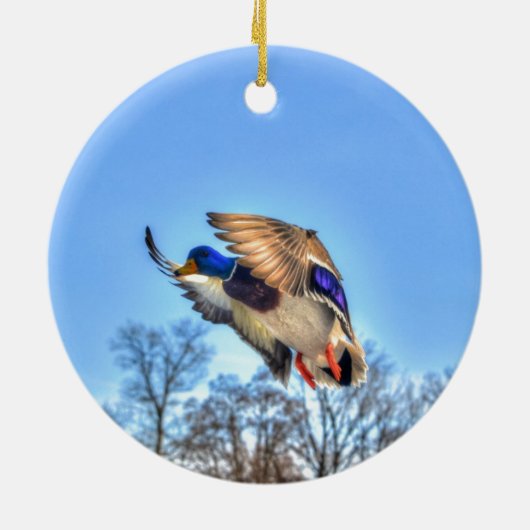 Flying Mallard Duck Drake Wildlife Foto Keramisch Ornament (Achterkant)