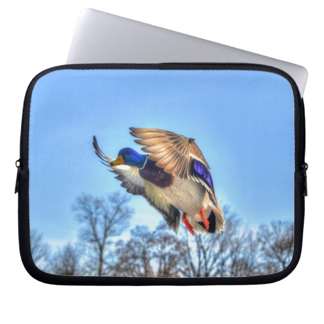 Flying Mallard Duck Drake Wildlife Foto Laptop Sleeve (Voorkant)