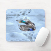 Flying Mallard Duck Drake Wildlife Foto Muismat (Met muis)