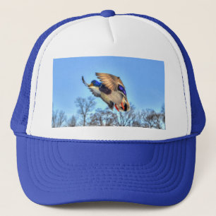 Flying Mallard Duck Drake Wildlife Foto Trucker Pet