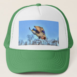 Flying Mallard Duck Drake Wildlife Foto Trucker Pet