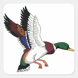 Flying Mallard Vierkante Sticker