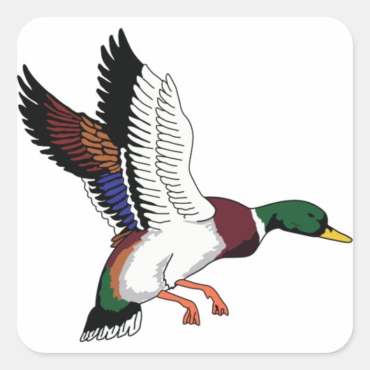 Flying Mallard Vierkante Sticker (Voorkant)