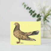Flying Oriental Roller Pigeon Almond Briefkaart (Staand voorkant)