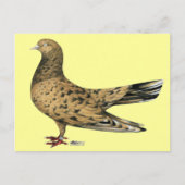 Flying Oriental Roller Pigeon Almond Briefkaart (Voorkant)