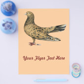 Flying Oriental Roller Pigeon Almond Flyer (Enkel)