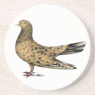 Flying Oriental Roller Pigeon Almond Zandsteen Onderzetter