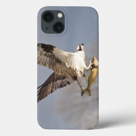 Flying Osprey & Fish 5 Wildlife Photography Case-Mate iPhone Case (Achterkant)