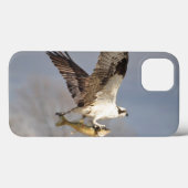 Flying Osprey & Fish 5 Wildlife Photography Case-Mate iPhone Case (Achterkant (horizontaal))