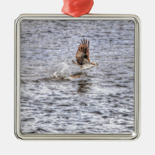 Flying Osprey & Fish HDR Wildlife Photo Gift Metalen Ornament