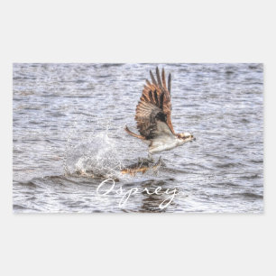 Flying Osprey & Fish HDR Wildlife Photo Gift Rechthoekige Sticker
