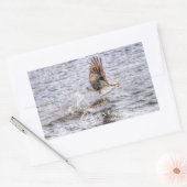 Flying Osprey & Fish HDR Wildlife Photo Gift Rechthoekige Sticker (Envelop)