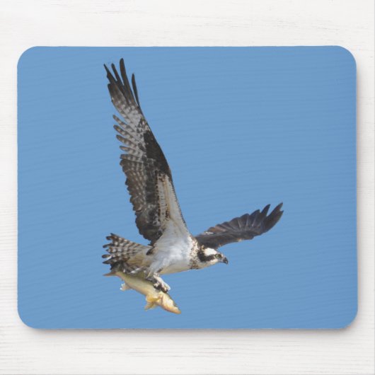 Flying Osprey & Fish Wildlife Photography Muismat (Voorkant)